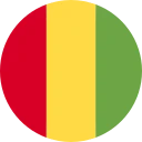 Franc Guinea (GNF)
